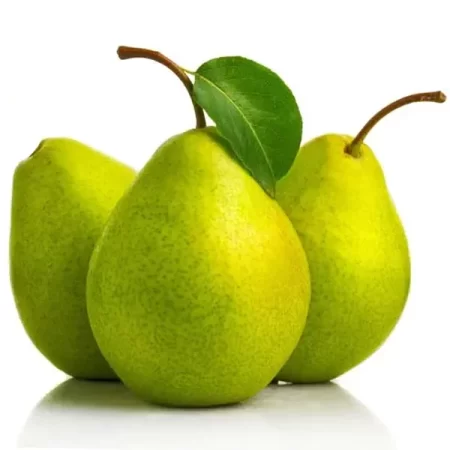 Pera D´anjou